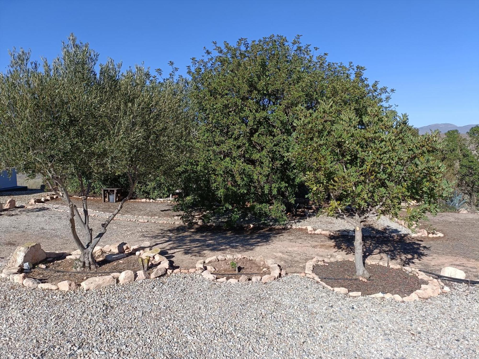El Cerrillo Villa Agua Amarga  Kültér fotó